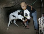 Gaza tunnels