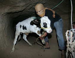 Gaza Tunnels the Lifelines of the population of more than 1.5 millions