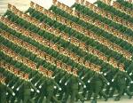 china_army